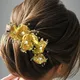 Golden__ANSH