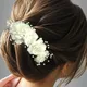 White__ANSH