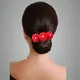 Red__ANSH