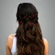 Maroon__ANSH