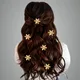 Golden__ANSH