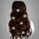 Silver__ANSH