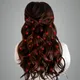 Red__ANSH