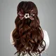 Maroon__ANSH