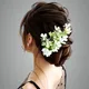 White__ANSH