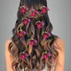 Dark Pink__ANSH