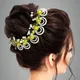 Golden__ANSH