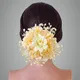 Beige__ANSH