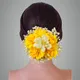 Yellow__ANSH