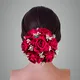 Red__ANSH