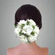 White__ANSH