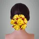 Yellow__ANSH