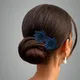 Blue__ANSH