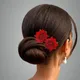 Carrot Red__ANSH