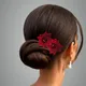 Red__ANSH