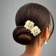 White__ANSH