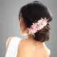 Baby Pink__ANSH