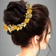 Dark Yellow__ANSH