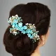 Blue__ANSH