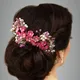 Dark Pink__ANSH