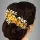 Dark Yellow__ANSH
