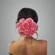 Baby Pink__ANSH