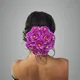 Purple__ANSH