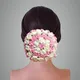 Baby Pink__ANSH