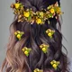 Yellow__ANSH