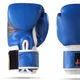 Blue__World of Sports