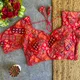 RED__Stree Vastra
