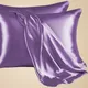 Purple__Mink Haven