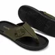 Olive Green__Alstom