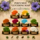 Multi colour__Timeless Beauty Secrets
