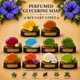Multi colour__Timeless Beauty Secrets