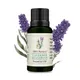 Lavender__Timeless Beauty Secrets
