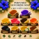 Multi colour__Timeless Beauty Secrets
