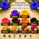 Multi colour__Timeless Beauty Secrets