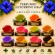 Multi colour__Timeless Beauty Secrets