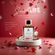 Transparent__Luxe Allure