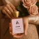 Transparent__Luxe Allure