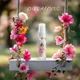 Transparent__Luxe Allure