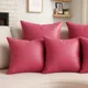 Pink__TUSA LIFESTYLE