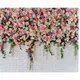Multicolor__Brandcom