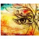 Multicolor__Brandcom