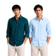 Dark Teal Green & Sky Blue__Arvest