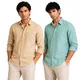 Khakhi & Sage Mint__Arvest