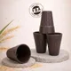Cocoa Bean__TurtleTales: Sustainable & Reusable Products