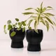 Midnight Black__TurtleTales: Sustainable & Reusable Products