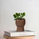 Natural Husk__TurtleTales: Sustainable & Reusable Products